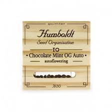 AUTO Chocolate Mint OG