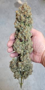 Red Strawberry Banana Auto