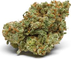 Amnesia The Real Auto