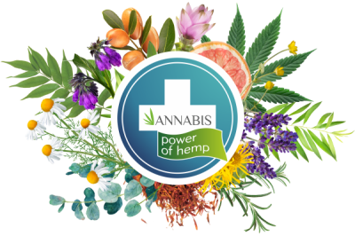 Menthol Hemp Gel Efecto Frío 200 ml