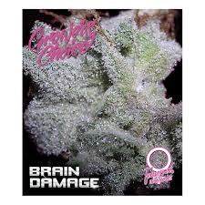 Brain Damage Auto