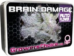 Brain Damage Auto