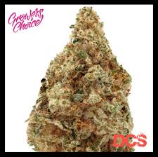 Charlotte Dream CBD Auto