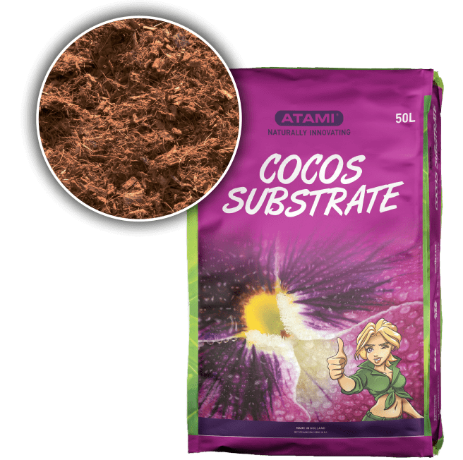 Cocos substrate "Atami" (SOLO EN TIENDA)