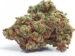 Gorilla Cookies Auto