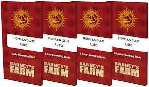 GORILLA GLUE AUTO