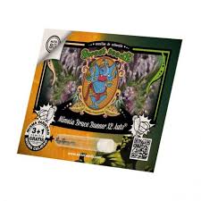 Mimosa Bruce Banner XL Auto