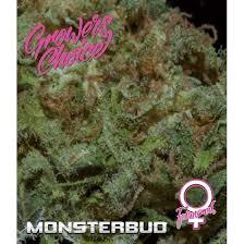 Monsterbud Auto