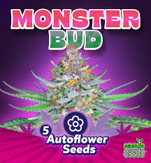 Monsterbud Auto