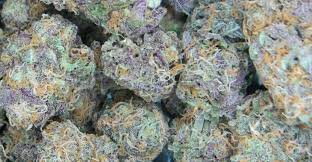 NORTHERN LIGHT BLUE AUTO