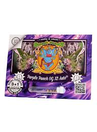 Purple Punch Og XL Auto