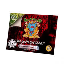 Red Gorilla Girl XL Auto®