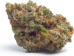 Tropicana Weddingcake Auto